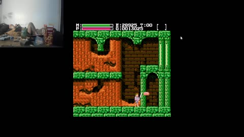 FagAnadu (THE Regular Nintedo)