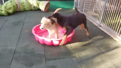 Ambra and sister playing