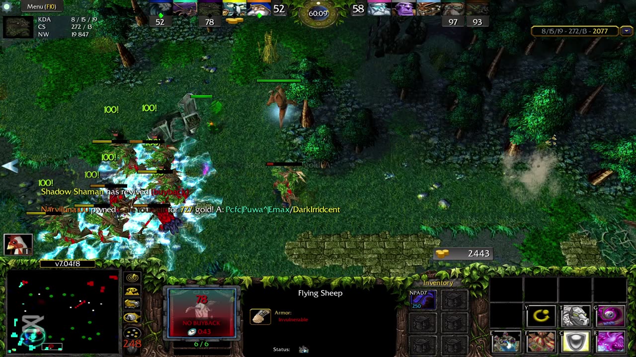 Professional Dota Player!