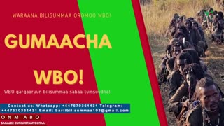 Gabaasa Gumaacha ONM-ABO Adoolessa 11-2025 itti dhiyaadhaa!