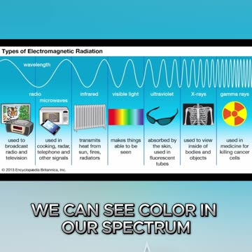 You’re Blind to What’s Really Out There! 👀