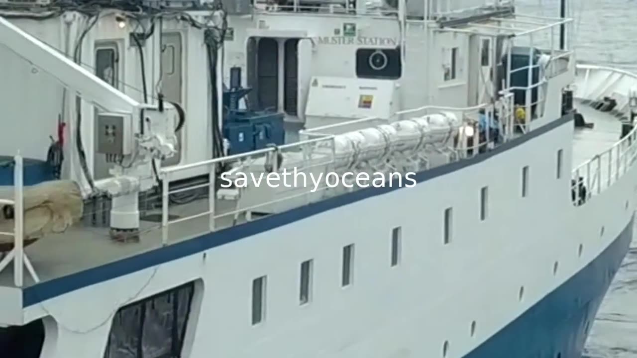 Northeast Pacific Seamounts