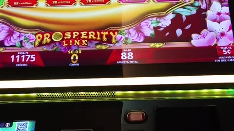 Playcity Casino© Monterrey NL