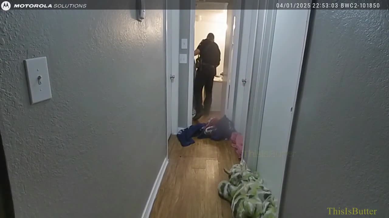 Video shows White Settlement police removing squirrels from woman’s apartment
