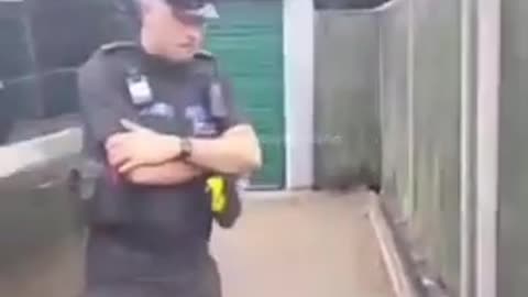 UK PIGS GONNA PIG