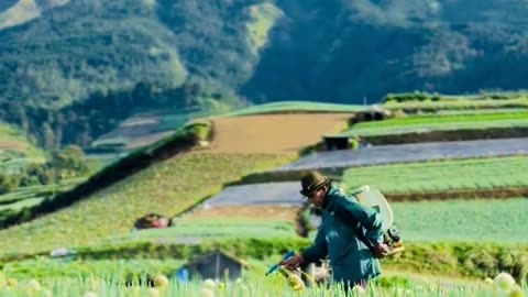 The Heart of Agriculture: The Life of a Farmer