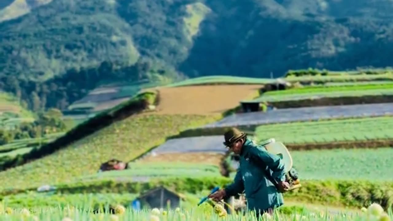 The Heart of Agriculture: The Life of a Farmer