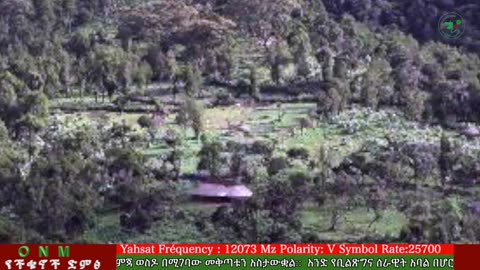 ሐምሌ 16-2025 ONM-ABO እለታዊ የኦሮሞ ነፃነት ሰራዊትና የኦሮሚያ ውሎ!