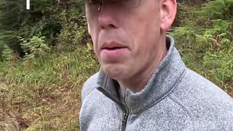 Exploring Alaska's Rainforest_ A Remote Adventure