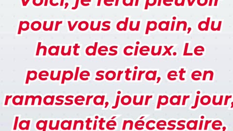 « La manne : Dieu pourvoit dans le désert » Exode 16:3,4.#shortvideo #shorts #youtubeshorts #yt #ree