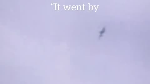What the hell was that?!