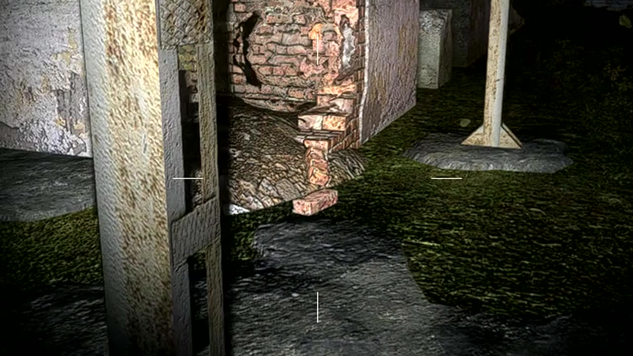 S.T.A.L.K.E.R - SoC - Getting a Stone Flower (Master)