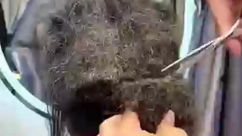 The process of cutting hair that has not been washed for a long time
