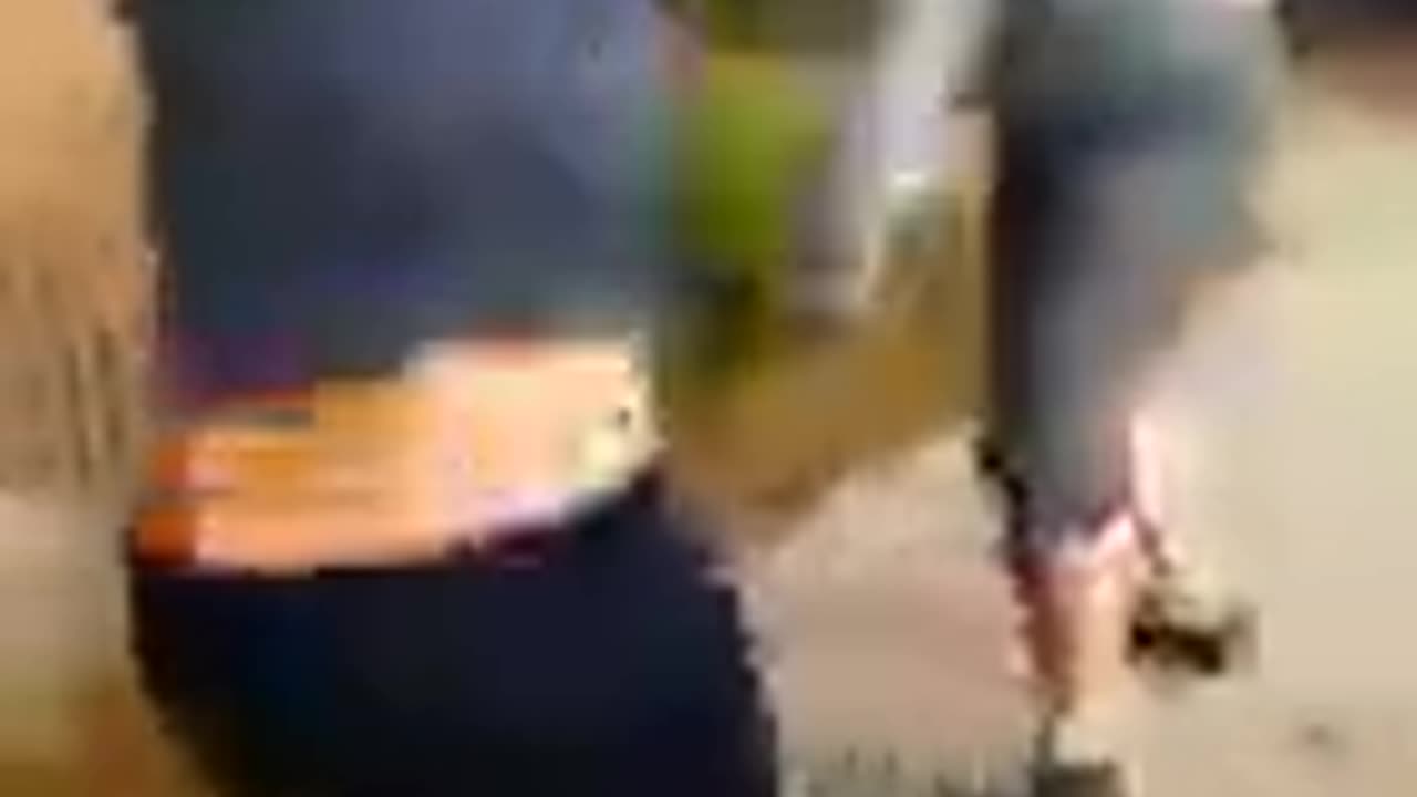Cat fight