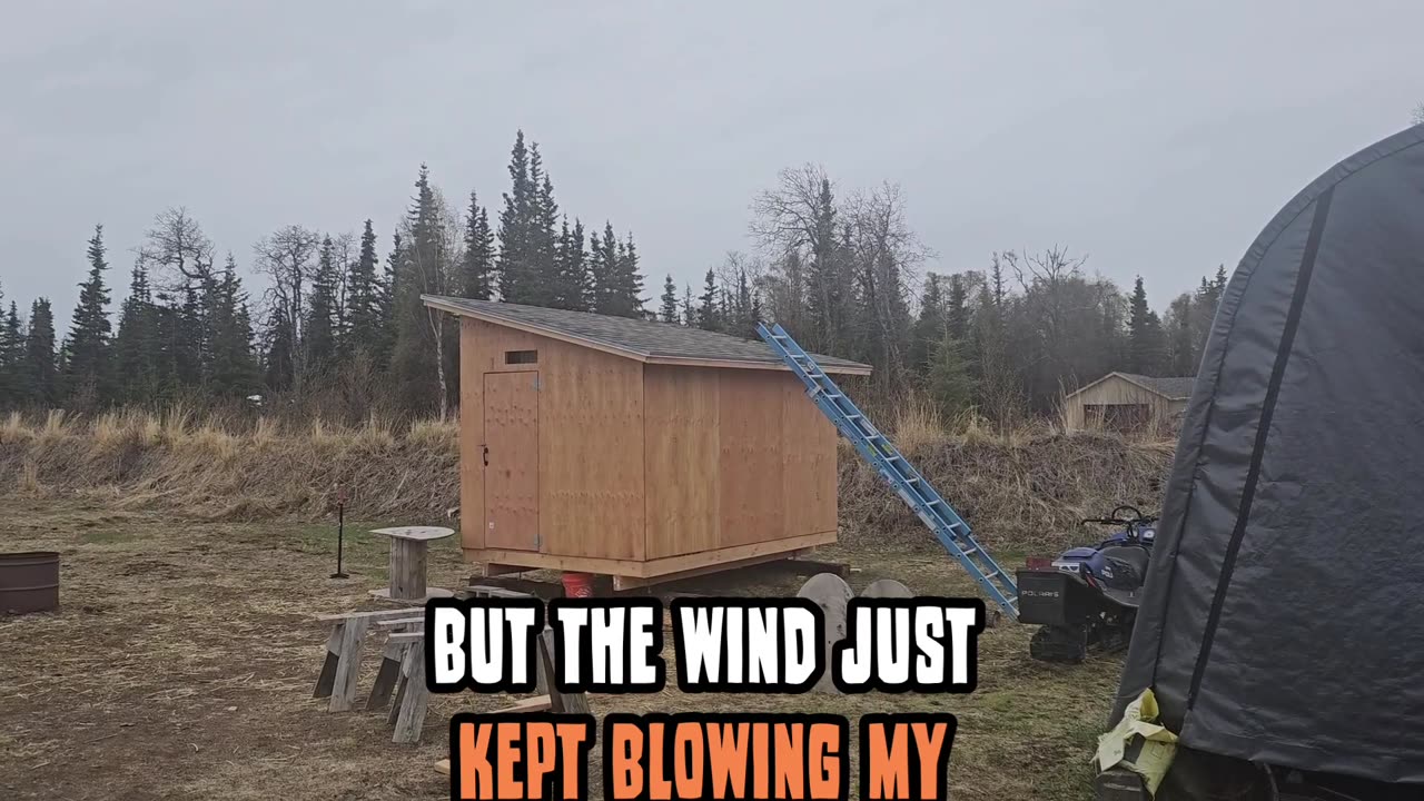 🐔 coop build update #6