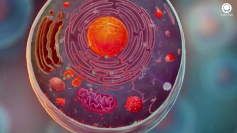 Attention, Parents! At This Age, A Child’s Brain Is Especially Vulnerable!