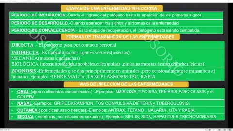 SAVIA REGULAR 2025 | Introductorio | Anatomía