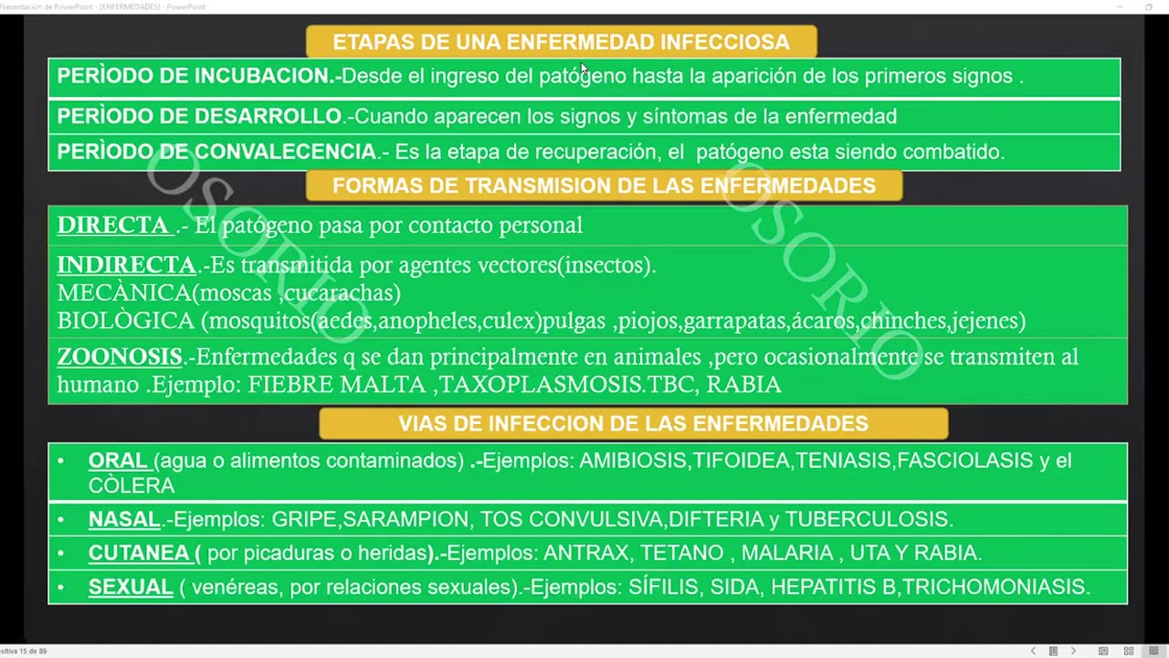 SAVIA REGULAR 2025 | Introductorio | Anatomía