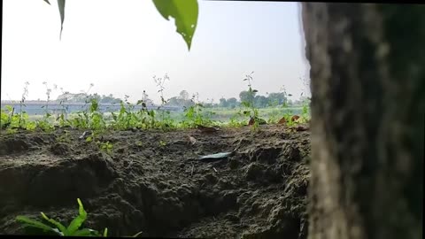 🚐💥 Myanmar War | PDF Ambush Targets Military Convoy Near Bayinnaung | RCF