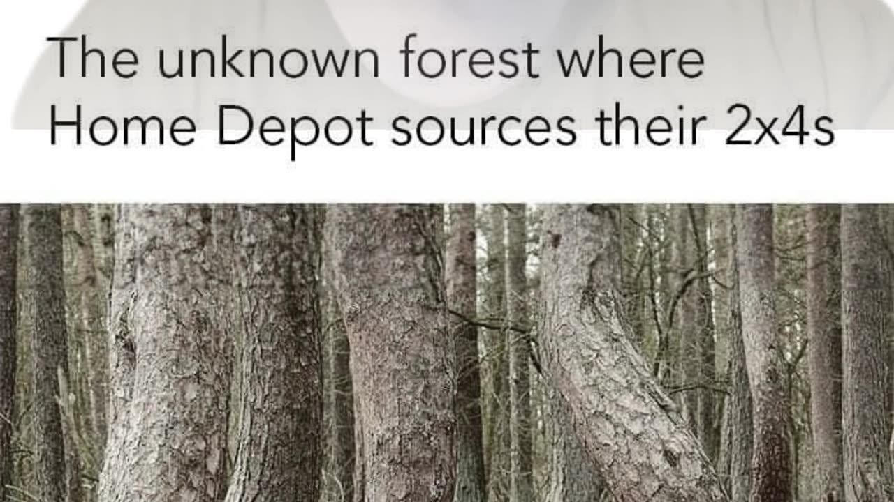 Where Home Depot Sources Their Lumber #Comedy