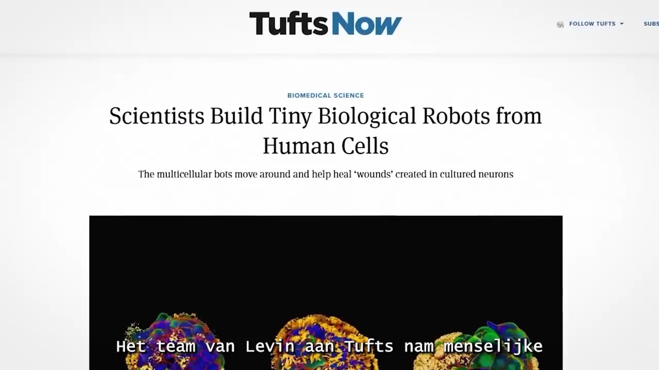 He Showed Too Much… A Discovery Too Dangerous to Expose (Dutch/NL Subs)