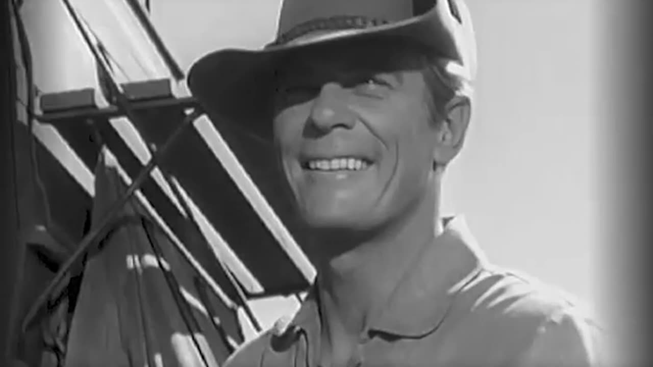 Whiplash Full - A Dilemma in Wool