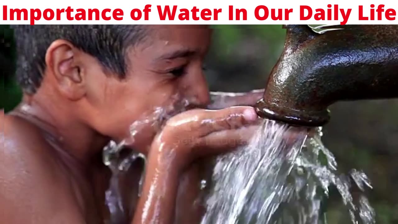 Importance of Water In Our Daily Life (1)