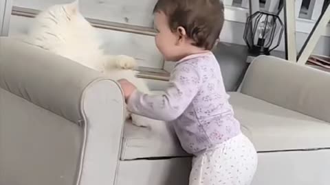 بازی با گربه