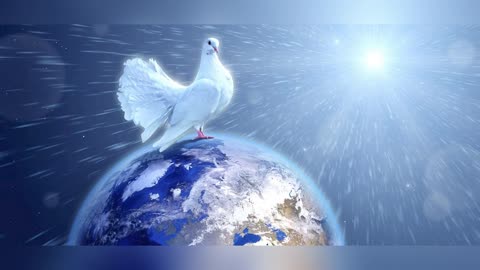 If You Obey, You Will Shine Without Flaw