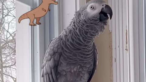 Parrot Thinks It's a Dinosaur! 🦜🦖😂 Hilarious Bird Moment