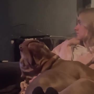 Just a little baby.. 🥺