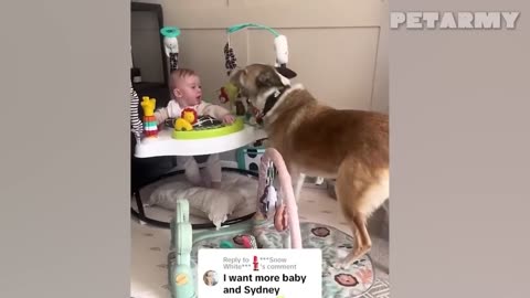😂 Cutest Duo Ever! Kid & Dog Playing Like Best Friends | Funny & Adorable Moments 🐶👶