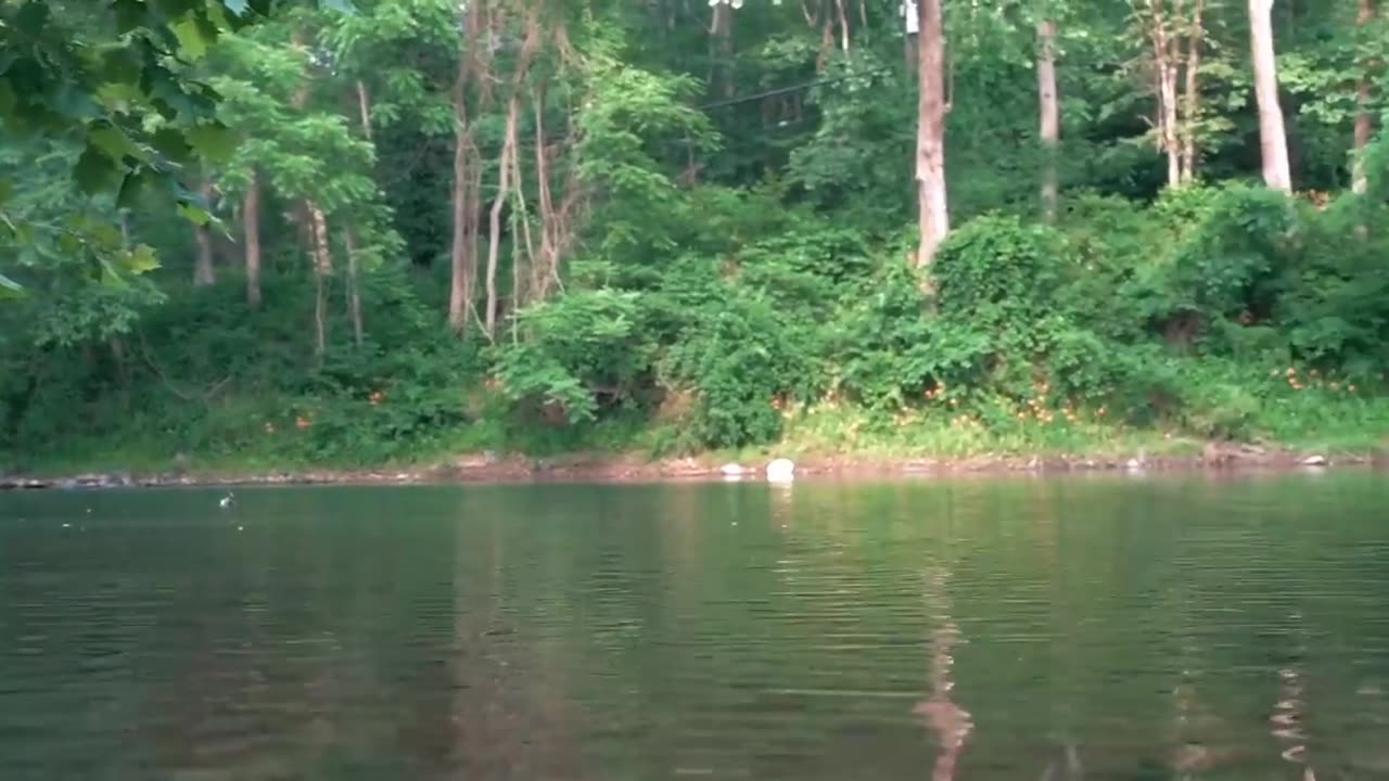 SASPENSE THRIILAR MOVIE 👍👍❤️