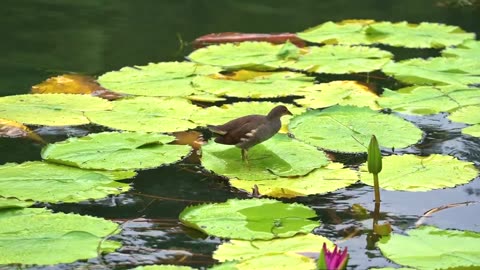 "Dream big and dare to fail."