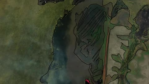 These beautiful Dragons lived during a time when our world had a vapor canopy biome.