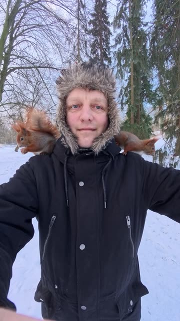 Red Squirrels Eat on Friendly Man's Shoulders