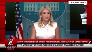 Leavitt Demands Pulitzer Winners Promoting Russia Hoax Have Their Award Stripped