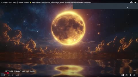 Light Practitioners World Wide Network Public Offering May 31, 2025