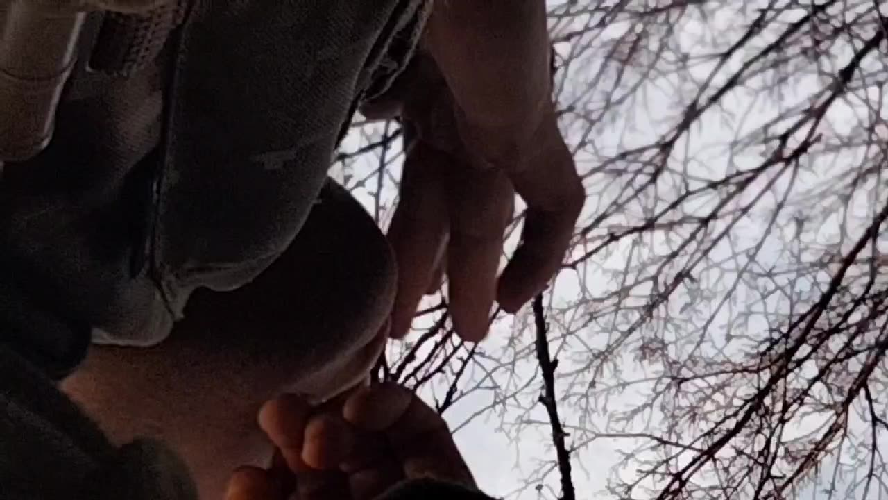 Jawharp Homus vargan ying yang training