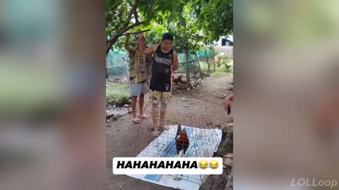 Try Not to Laugh Challenge – HILARIOUS Videos (Impossible to Resist!)