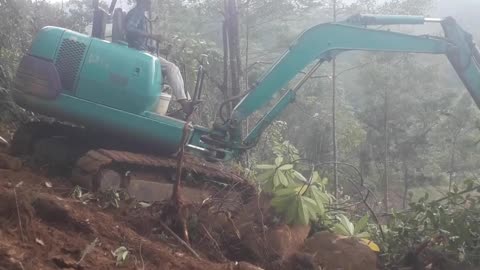 How Is This Even Possible? Excavator Tackles a Steep Forest Cleanup Project!