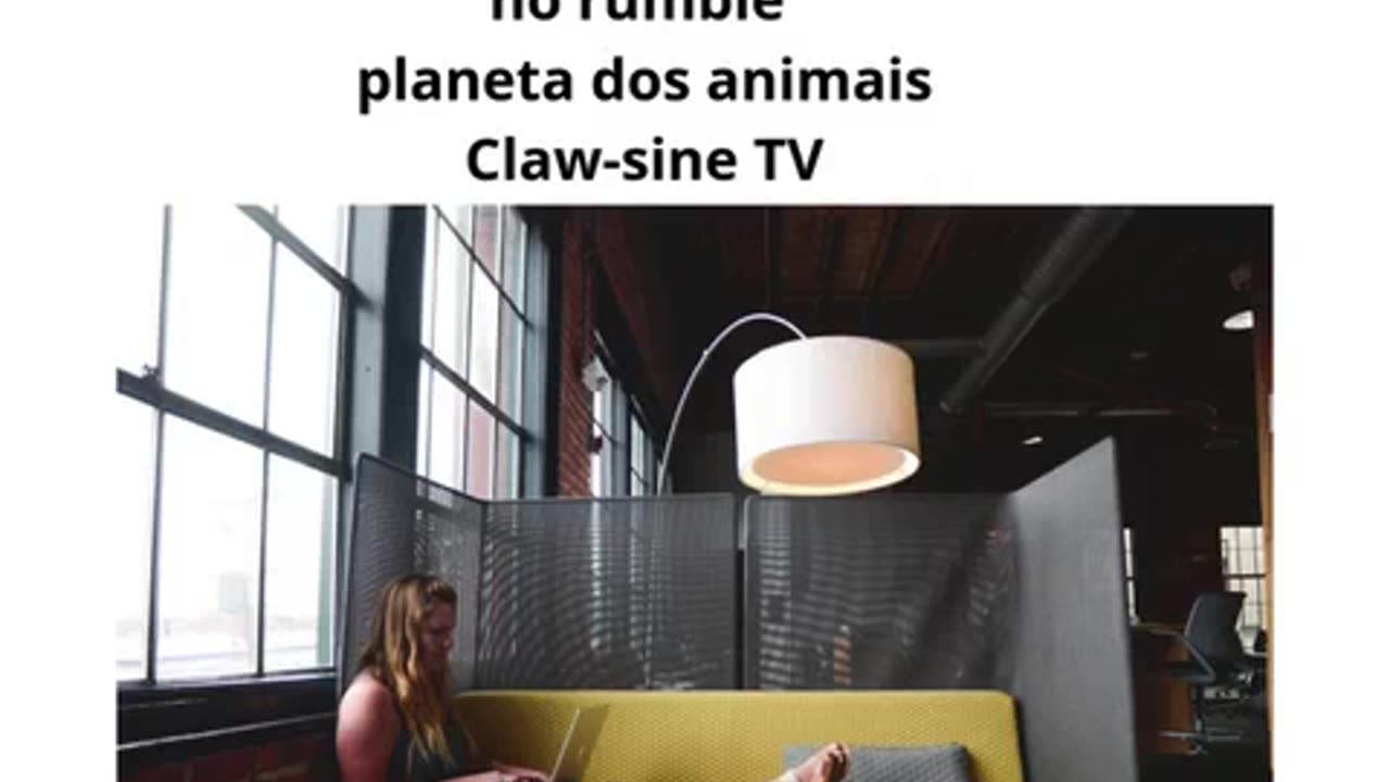 meus canal de animais no youtube 2.mp4