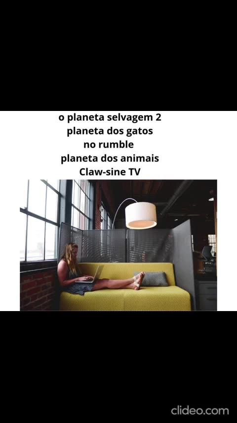 meus canal de animais no youtube 2.mp4