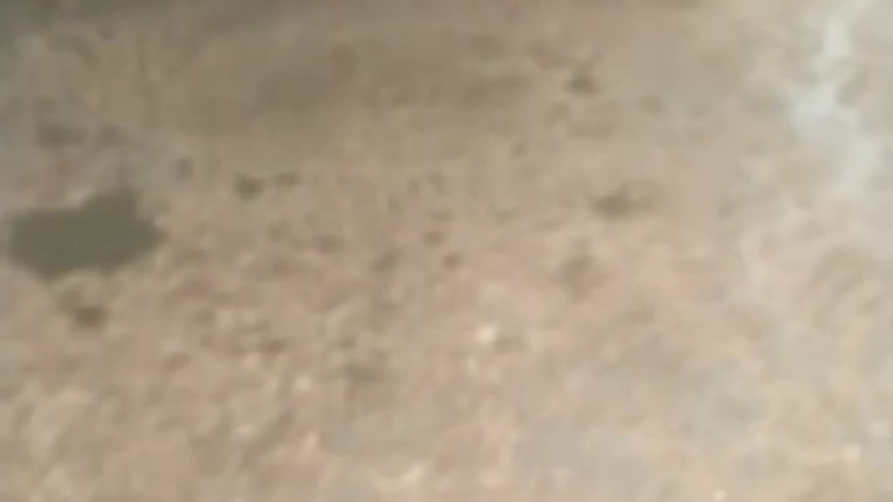 PALESTINE