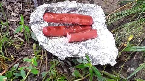 Carolina Pride Weenie on the Line!!!