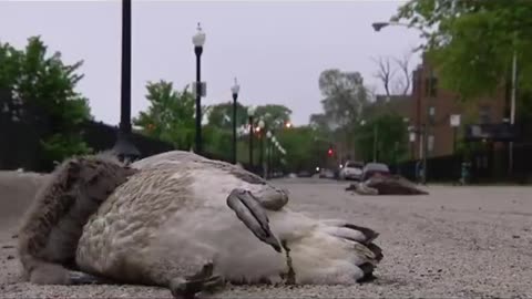 People Need Things To Do