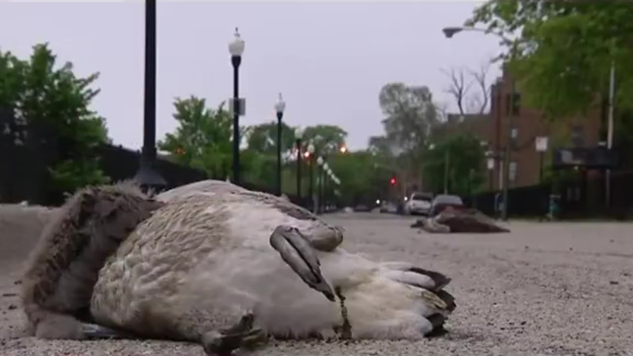 People Need Things To Do