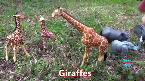 Shocking: Safari Animal Figurines and Fun Facts