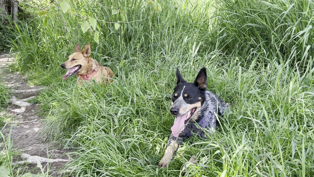 catching our breath 29842309842098