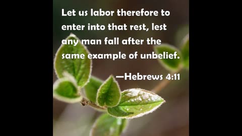 Enter Into that Rest